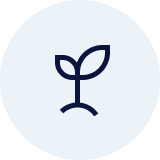 Non-Toxic & Plant-Based Formula